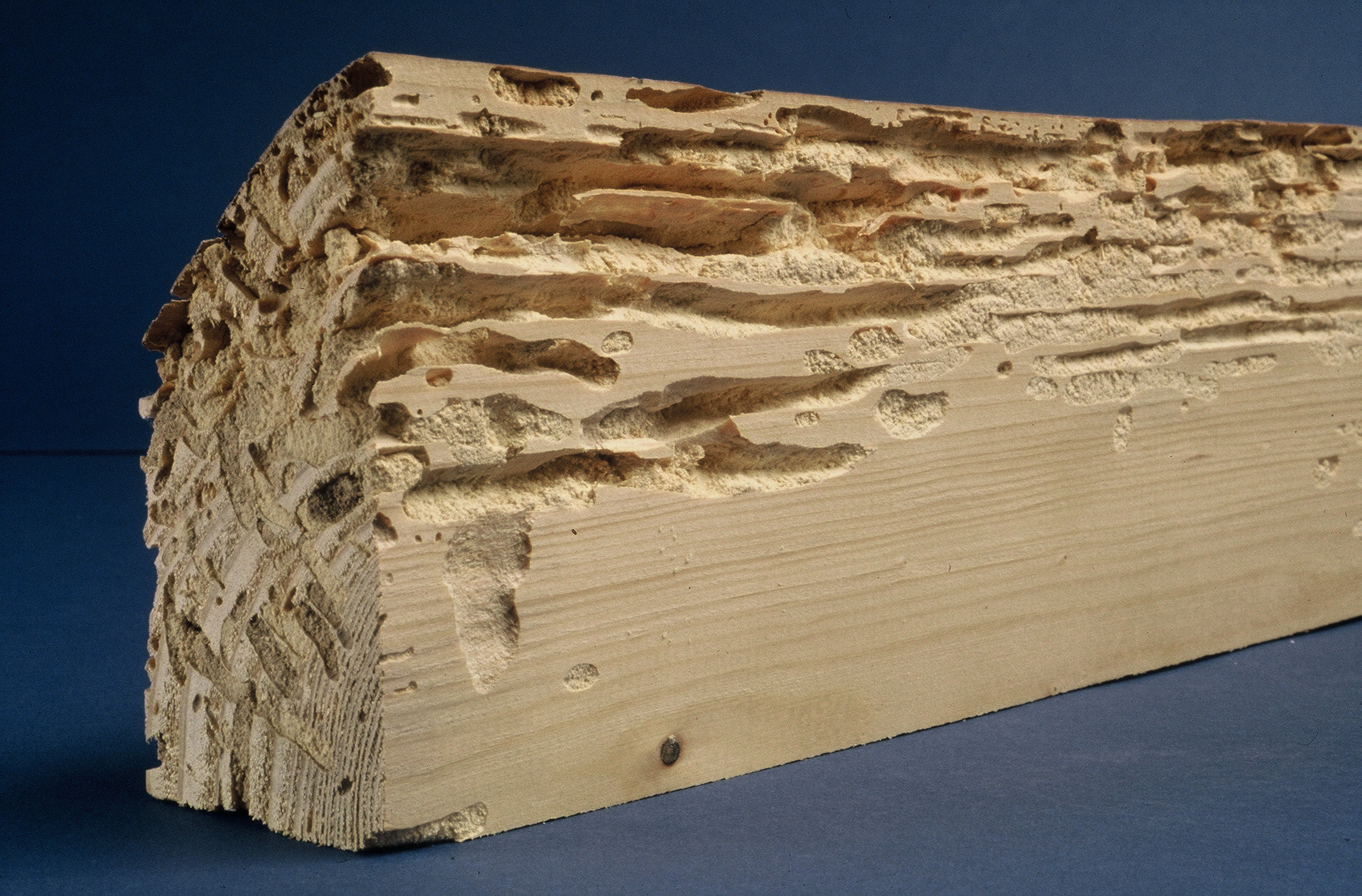 Traitement de charpente, bois à Valence